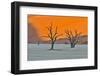 Africa, Namibia, Sossusvlei. Dead Acacia Trees in the White Clay Pan at Deadvlei in the Morning Lig-Hollice Looney-Framed Photographic Print