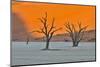 Africa, Namibia, Sossusvlei. Dead Acacia Trees in the White Clay Pan at Deadvlei in the Morning Lig-Hollice Looney-Mounted Photographic Print