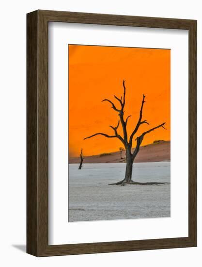Africa, Namibia, Sossusvlei. Dead Acacia Trees in the White Clay Pan at Deadvlei in the Morning Lig-Hollice Looney-Framed Photographic Print