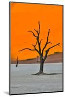 Africa, Namibia, Sossusvlei. Dead Acacia Trees in the White Clay Pan at Deadvlei in the Morning Lig-Hollice Looney-Mounted Photographic Print