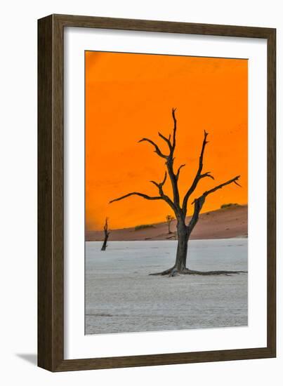 Africa, Namibia, Sossusvlei. Dead Acacia Trees in the White Clay Pan at Deadvlei in the Morning Lig-Hollice Looney-Framed Photographic Print