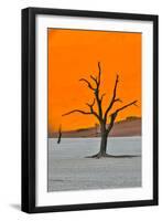 Africa, Namibia, Sossusvlei. Dead Acacia Trees in the White Clay Pan at Deadvlei in the Morning Lig-Hollice Looney-Framed Photographic Print