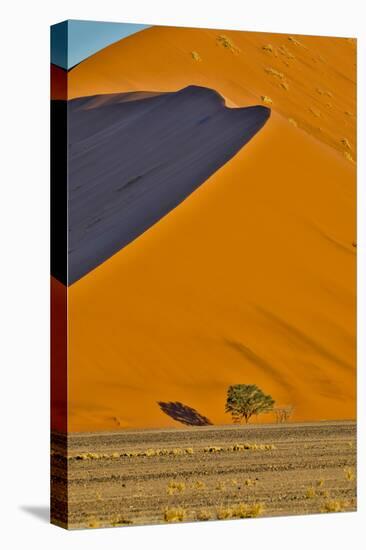 Africa, Namibia, Sossusvlei. Dune in the afternoon-Hollice Looney-Stretched Canvas