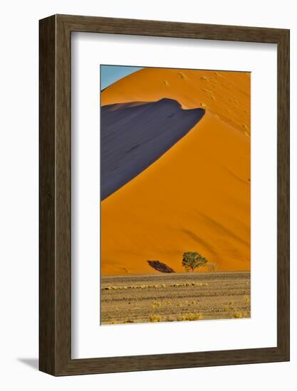 Africa, Namibia, Sossusvlei. Dune in the afternoon-Hollice Looney-Framed Photographic Print