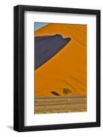 Africa, Namibia, Sossusvlei. Dune in the afternoon-Hollice Looney-Framed Photographic Print