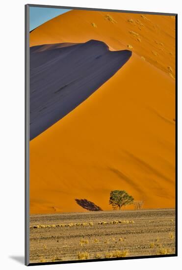 Africa, Namibia, Sossusvlei. Dune in the afternoon-Hollice Looney-Mounted Photographic Print