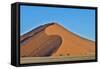 Africa, Namibia, Sossusvlei Dunes in the Afternoon Light-Hollice Looney-Framed Stretched Canvas