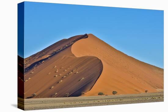 Africa, Namibia, Sossusvlei Dunes in the Afternoon Light-Hollice Looney-Stretched Canvas