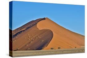 Africa, Namibia, Sossusvlei Dunes in the Afternoon Light-Hollice Looney-Stretched Canvas