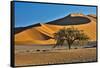 Africa, Namibia, Sossusvlei Dunes in the Morning Light-Hollice Looney-Framed Stretched Canvas