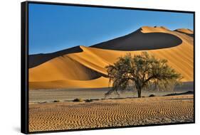 Africa, Namibia, Sossusvlei Dunes in the Morning Light-Hollice Looney-Framed Stretched Canvas