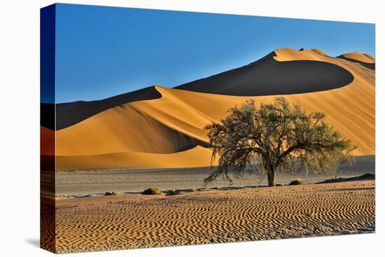 Africa, Namibia, Sossusvlei Dunes in the Morning Light-Hollice Looney-Stretched Canvas