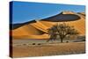 Africa, Namibia, Sossusvlei Dunes in the Morning Light-Hollice Looney-Stretched Canvas