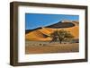 Africa, Namibia, Sossusvlei Dunes in the Morning Light-Hollice Looney-Framed Photographic Print