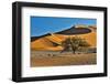 Africa, Namibia, Sossusvlei Dunes in the Morning Light-Hollice Looney-Framed Photographic Print