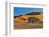 Africa, Namibia, Sossusvlei Dunes in the Morning Light-Hollice Looney-Framed Photographic Print