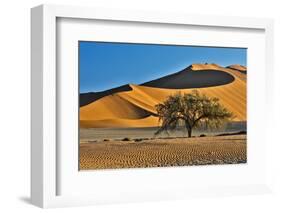 Africa, Namibia, Sossusvlei Dunes in the Morning Light-Hollice Looney-Framed Photographic Print