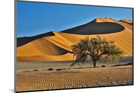 Africa, Namibia, Sossusvlei Dunes in the Morning Light-Hollice Looney-Mounted Photographic Print