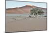 Africa, Namibia, Sossusvlei Dunes-Hollice Looney-Mounted Photographic Print