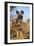 Africa, Namibia. Wild Dog Close-Up-Jaynes Gallery-Framed Photographic Print