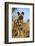 Africa, Namibia. Wild Dog Close-Up-Jaynes Gallery-Framed Photographic Print