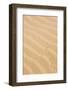 Africa, Northwestern Namibia, Kaokoveld. Reptile pattern on a sand dune.-Ellen Goff-Framed Photographic Print