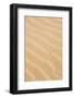 Africa, Northwestern Namibia, Kaokoveld. Reptile pattern on a sand dune.-Ellen Goff-Framed Photographic Print