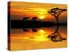 Africa Parading along the Lake-kesipun-Stretched Canvas