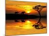 Africa Parading along the Lake-kesipun-Mounted Premium Photographic Print