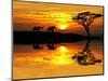 Africa Parading along the Lake-kesipun-Mounted Photographic Print