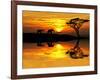 Africa Parading along the Lake-kesipun-Framed Photographic Print