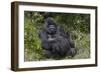 Africa, Rwanda, Volcanoes National Park. Blackback gorilla watching us.-Ellen Goff-Framed Photographic Print