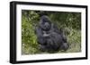 Africa, Rwanda, Volcanoes National Park. Blackback gorilla watching us.-Ellen Goff-Framed Photographic Print