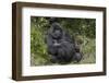 Africa, Rwanda, Volcanoes National Park. Blackback gorilla watching us.-Ellen Goff-Framed Photographic Print