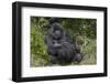 Africa, Rwanda, Volcanoes National Park. Blackback gorilla watching us.-Ellen Goff-Framed Photographic Print