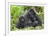 Africa, Rwanda, Volcanoes National Park. Female mountain gorilla with young by her side.-Ellen Goff-Framed Photographic Print