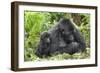 Africa, Rwanda, Volcanoes National Park. Female mountain gorilla with young by her side.-Ellen Goff-Framed Photographic Print