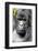 Africa, Rwanda, Volcanoes National Park. Portrait of a silverback mountain gorilla.-Ellen Goff-Framed Photographic Print