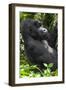 Africa, Rwanda, Volcanoes National Park. Portrait of a silverback mountain gorilla.-Ellen Goff-Framed Photographic Print