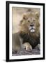 Africa's King-Susann Parker-Framed Photographic Print