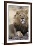 Africa's King-Susann Parker-Framed Photographic Print