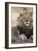 Africa's King-Susann Parker-Framed Photographic Print