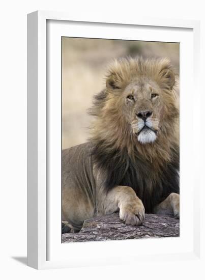 Africa's King-Susann Parker-Framed Photographic Print
