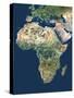 Africa, Satellite Image-PLANETOBSERVER-Stretched Canvas