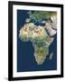 Africa, Satellite Image-PLANETOBSERVER-Framed Photographic Print