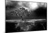 Africa Savannah Maasai Mara Kenya-null-Mounted Photographic Print