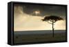 Africa Savannah-null-Framed Stretched Canvas