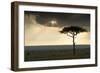 Africa Savannah-null-Framed Photographic Print