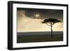 Africa Savannah-null-Framed Photographic Print