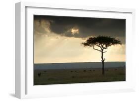 Africa Savannah-null-Framed Photographic Print